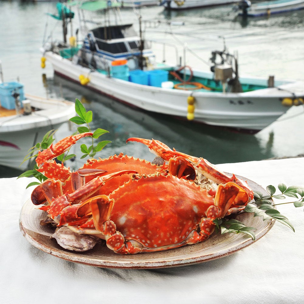太良の竹崎カニ | うまいものはうまい。九州 | あ！九州なぜうまい！